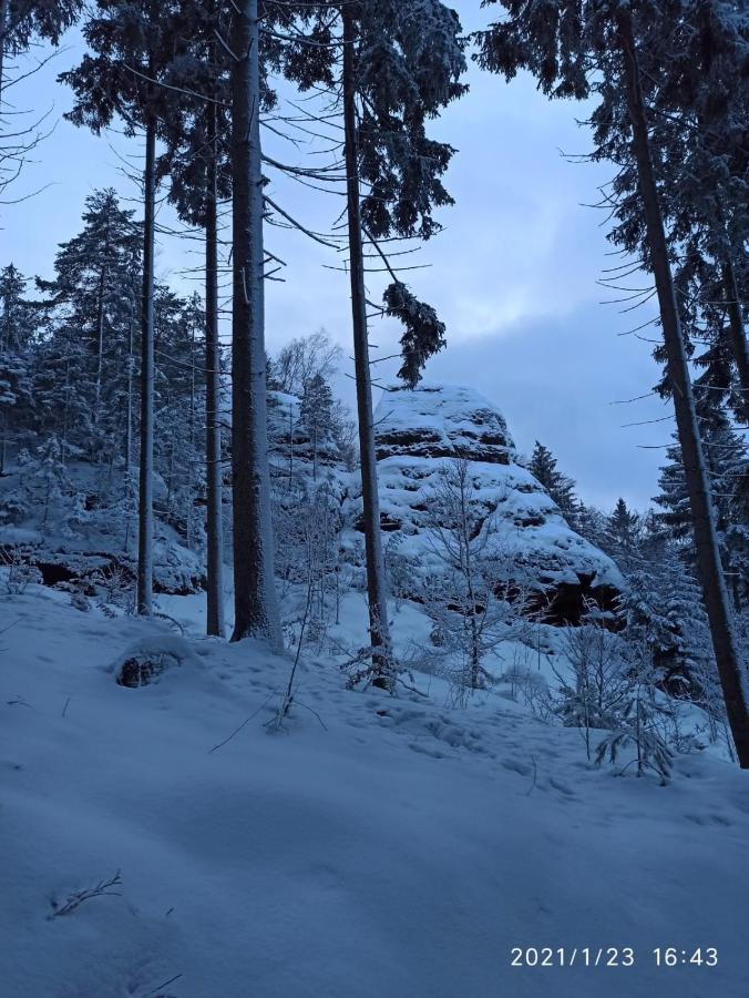 Dreilaendertreff Leilighet Zittau Eksteriør bilde
